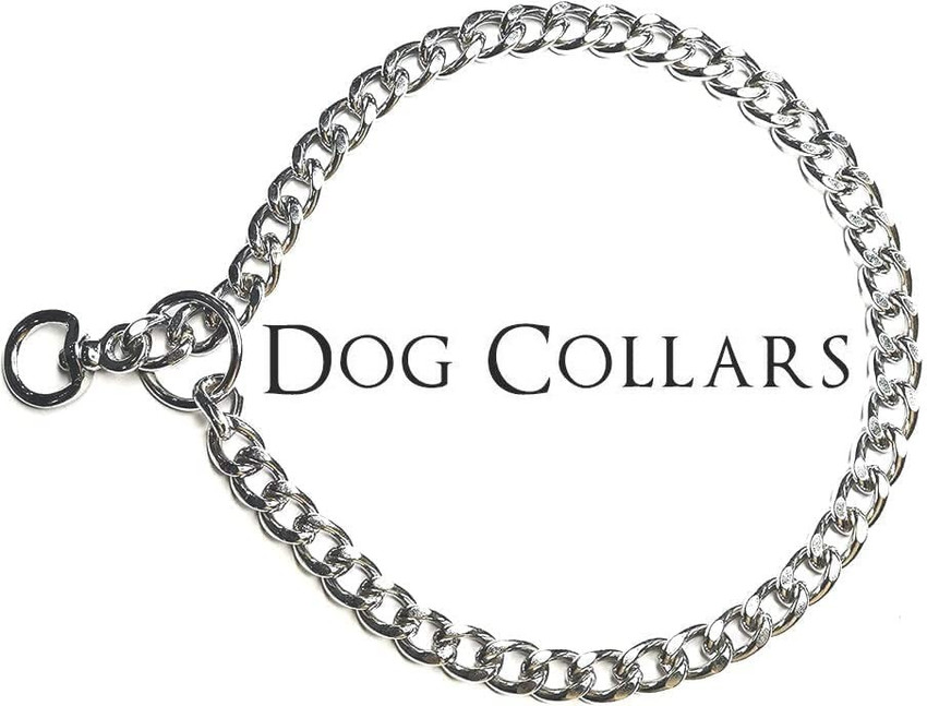 Stainless shop dog chain