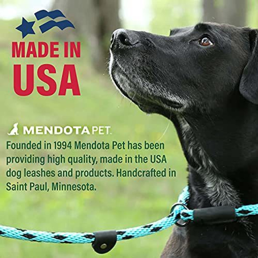 Mendota dog collar hot sale