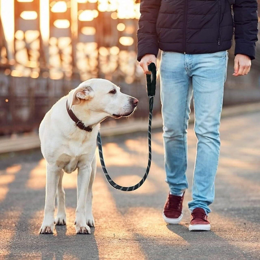 CHIFICA Dog Walking Rope 4FT Soft Handle Nylon Rope Cord Training Pet Walking Leashes 125 cm Dog Cord Leash Price in India Buy CHIFICA Dog Walking Rope 4FT Soft Handle Nylon