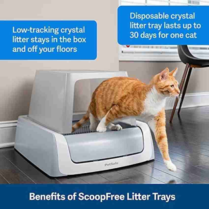 Scoopfree cat 2024 litter refills