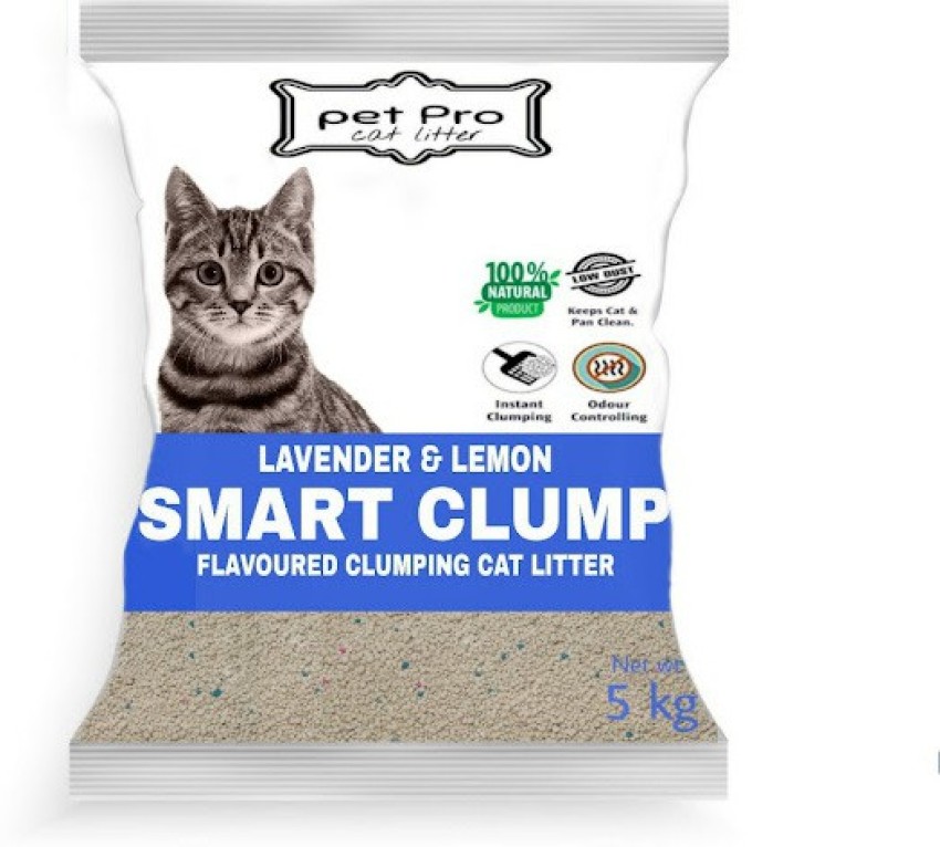 Hey Kitty - Super Premium Ball Shape Bentonite Best Cat Litter with  Lavender Fresh Scent | Quick & Strong Clumping | Ultra Odor Lock | Easy  Scooping 