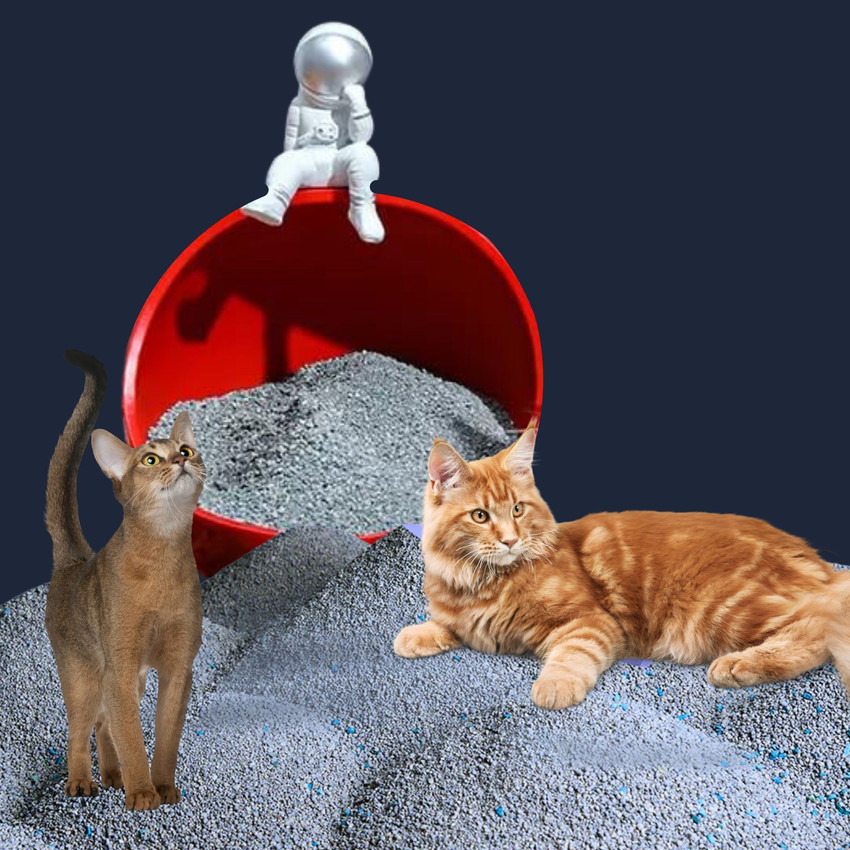 Friendly natural cat litter shop