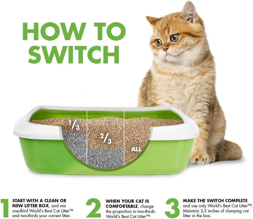 World's best litter box discount