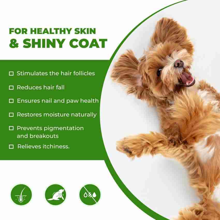 Fur Ball Story Nutrition Supplement Spray Price in India Buy Fur Ball Story Nutrition Supplement Spray online at Flipkart
