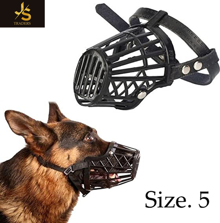 Cute dog muzzle online