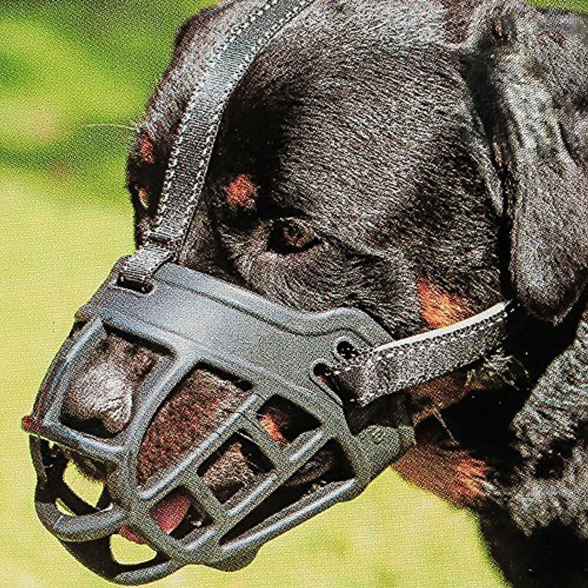 Barkless dog muzzle cheap