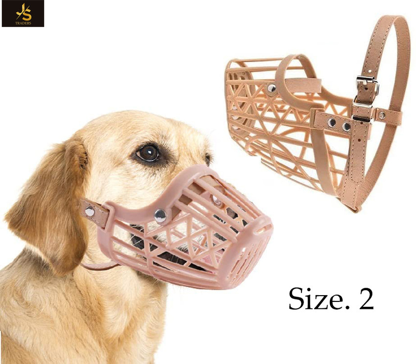 Cute dog muzzle cheap