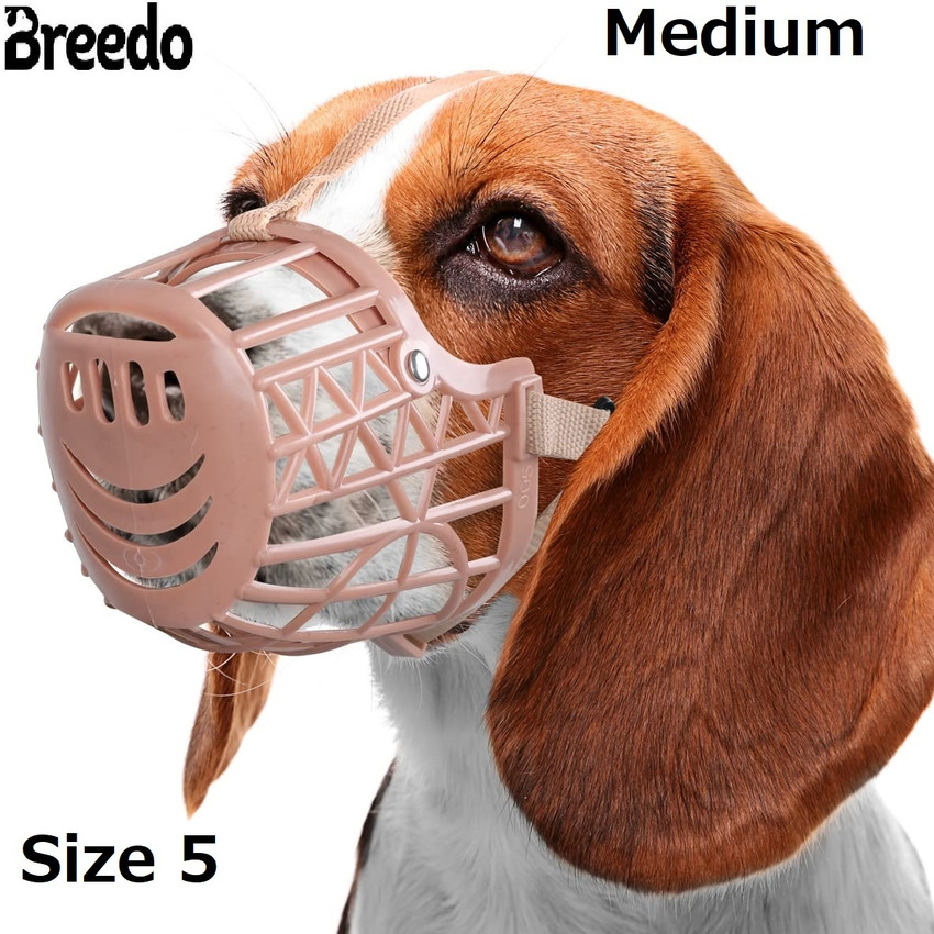 Muzzle mouth store
