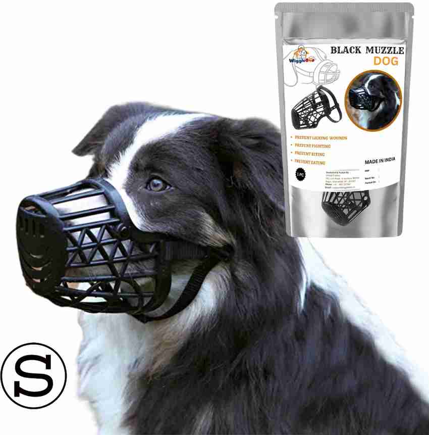 Dogs with black top muzzles