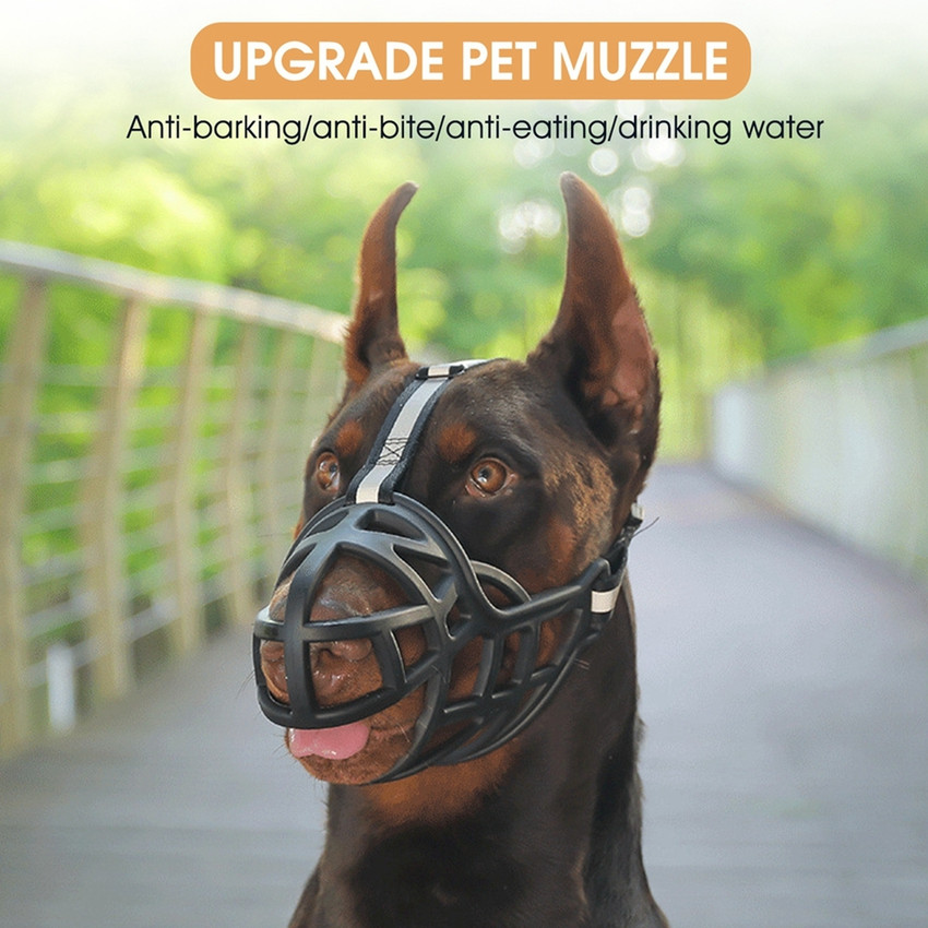 Dog muzzle top drink water