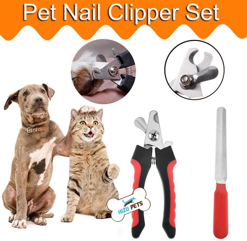 Dog nail cutter hot sale flipkart