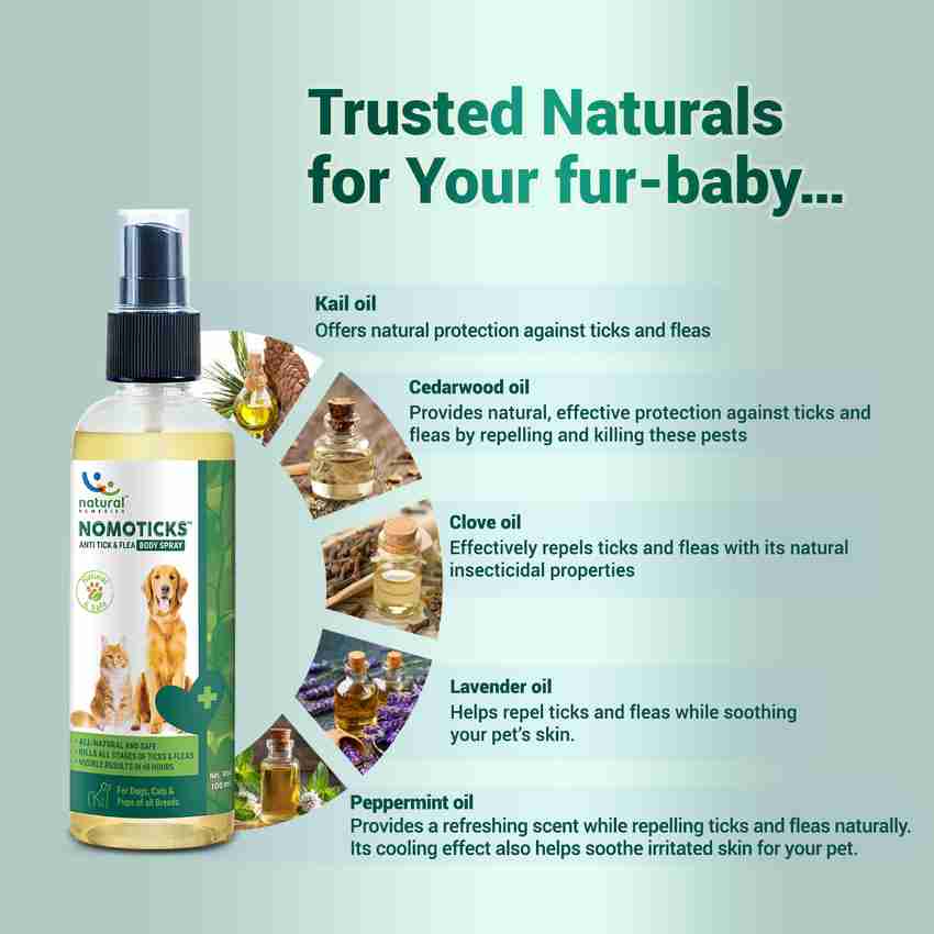 Natural Remedies Nomoticks Anti Tick Flea Body Spray Kills Ticks Fleas for Dogs Cat 100 ml Flea and Tick Fresh Dog Shampoo Price in India Buy Natural Remedies Nomoticks