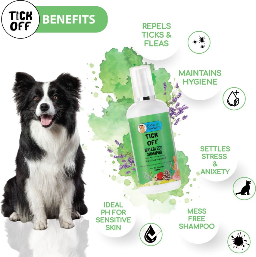 Waterless flea shampoo for hot sale dogs