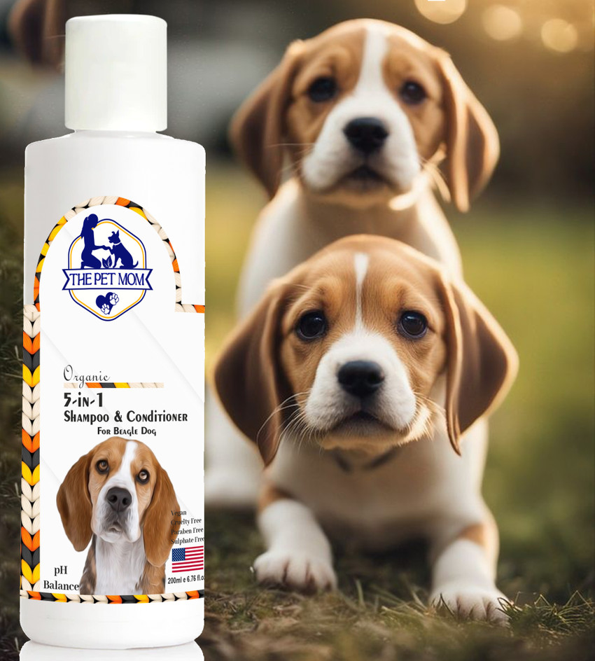 Beagle shampoo store
