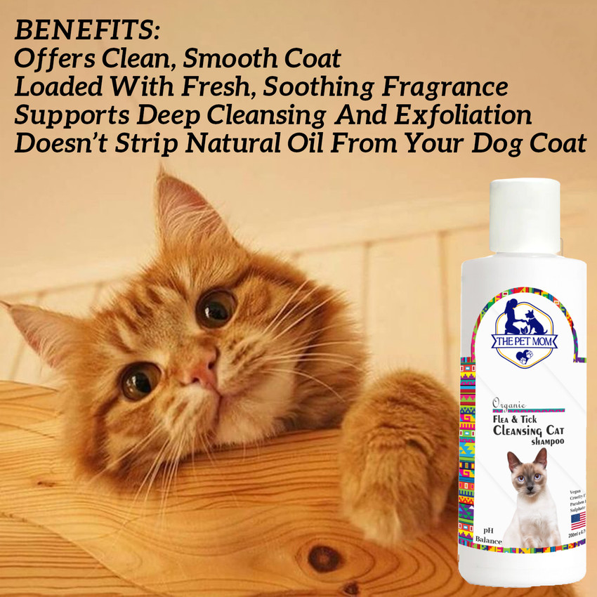 Cat lice shampoo online