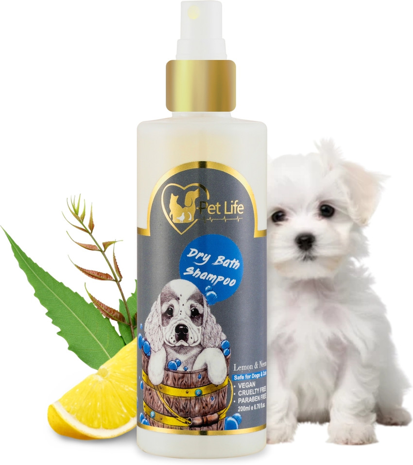 Maltese shampoo deals