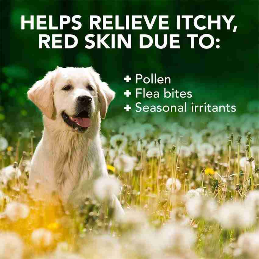 Ph balanced dog shampoo sale