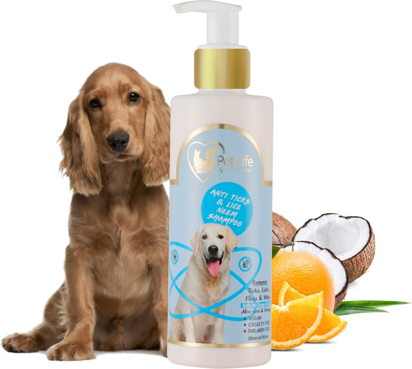 Is lice shampoo safe new arrivals for dogs