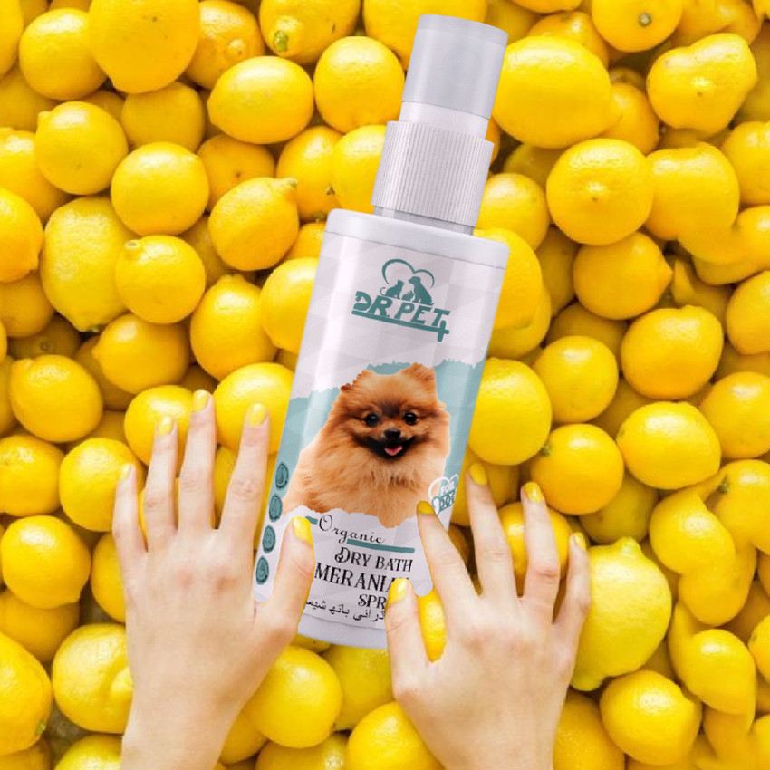 Pomeranian dog deals shampoo