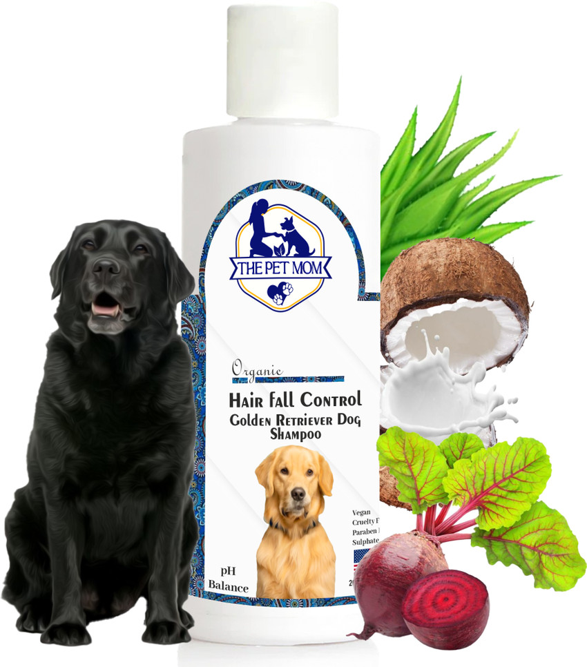 THE PET MOM Golden Retriever Dog Shampoo Hair Fall Control Shed Control Strengthening Coat Conditioning Fresh Reduces Hair Fall Cleans Conditions De Shedding Cleanser All Dog Breed Dog Shampoo Price i...
