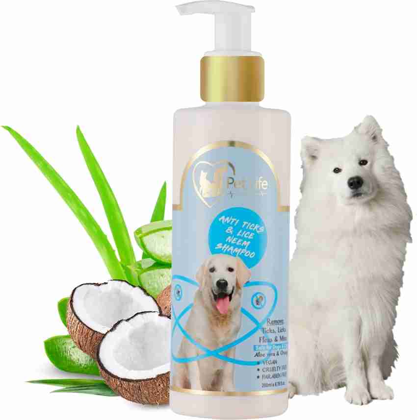 Samoyed shampoo 2025