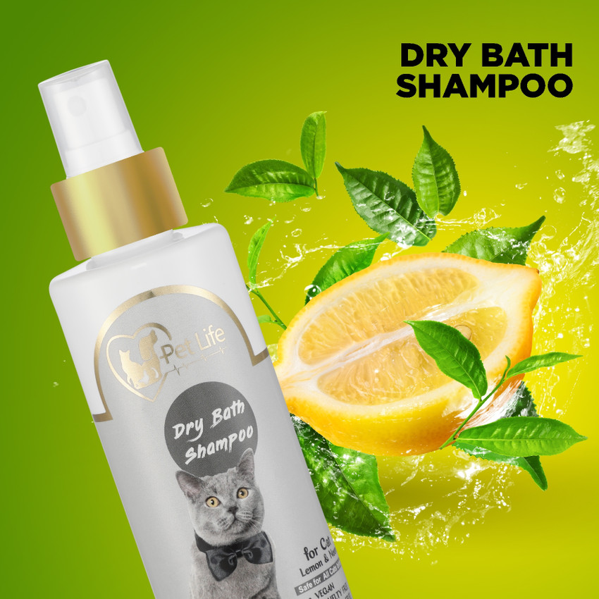 Dry bath for cats top