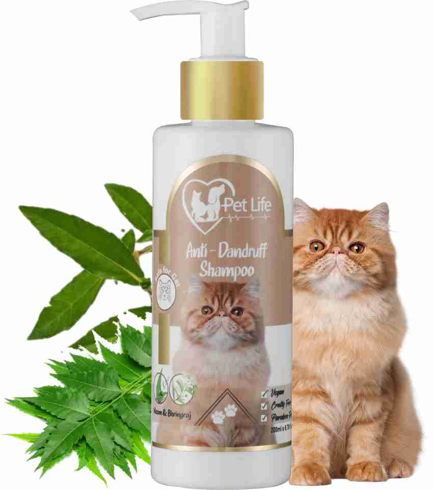 Anti dandruff cat shampoo hotsell