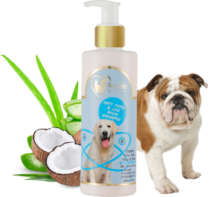 Bulldog puppy shop shampoo