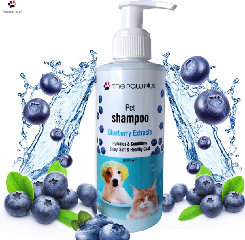 Natural Shampoo - Dermcare