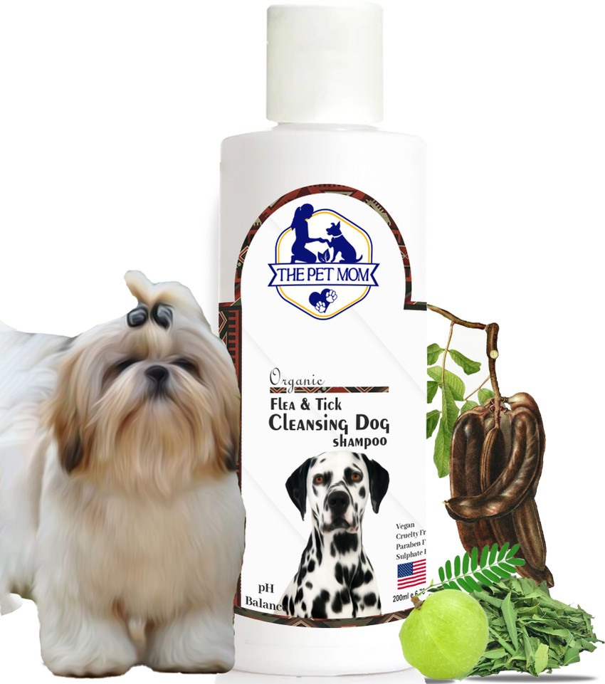 Best flea treatment for shih tzu discount