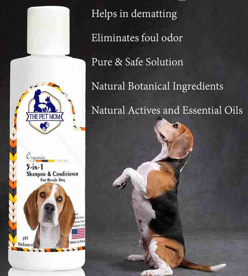 Best shampoo sales for beagle smell