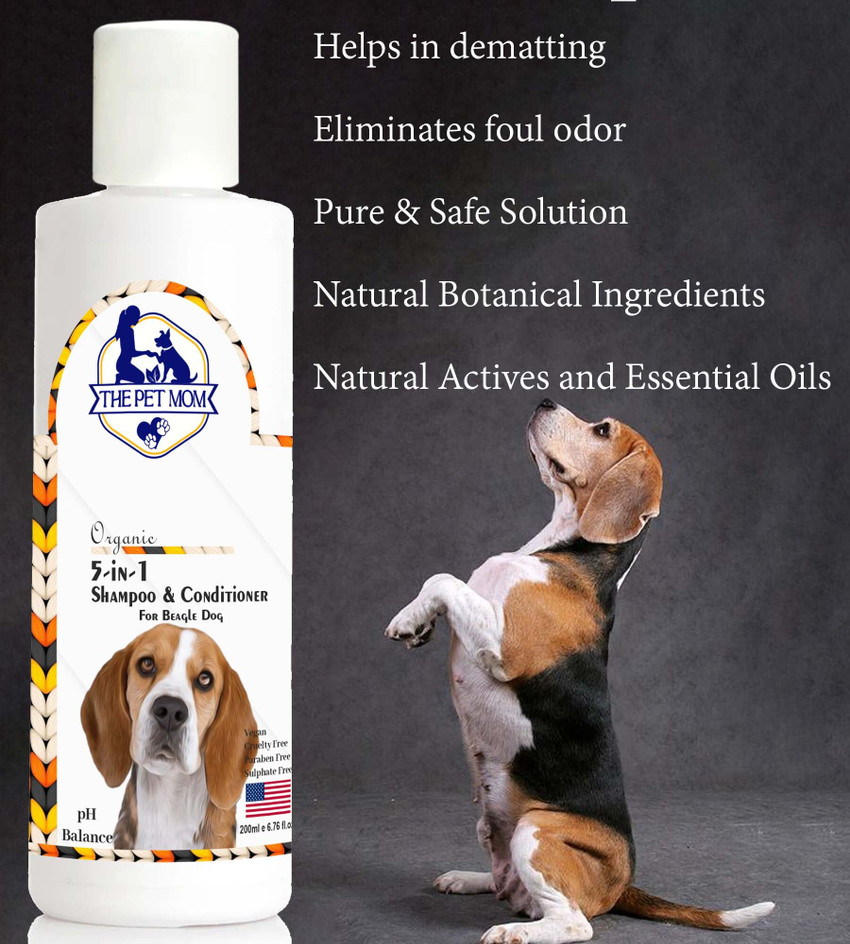 Best shampoo for beagle smell top