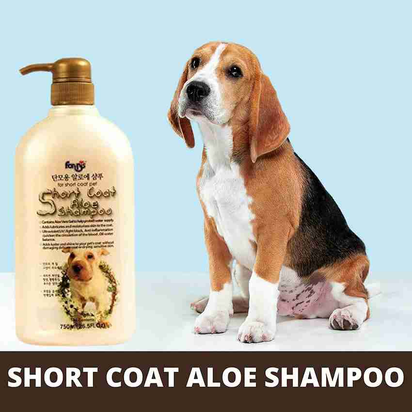 Forbis shampoo hotsell
