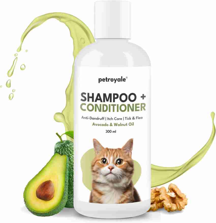 Anti itch cat shampoo shop