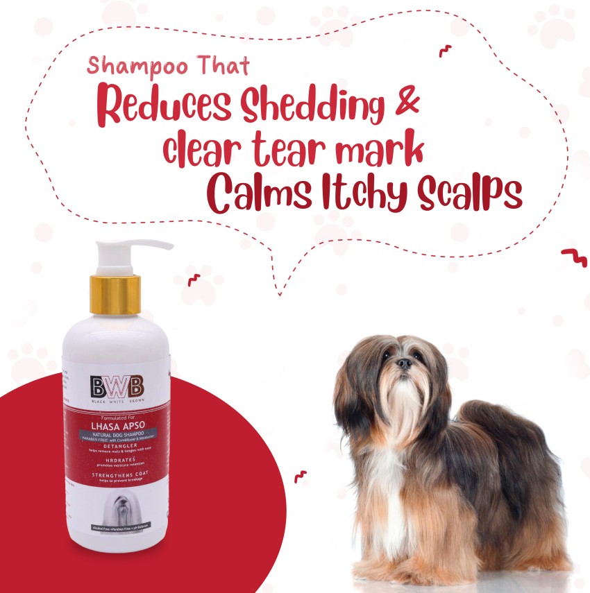 Best shampoo shop for lhasa apso