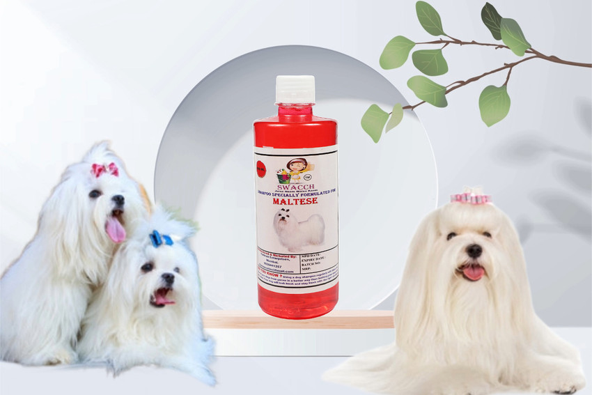 Maltese puppy shampoo new arrivals