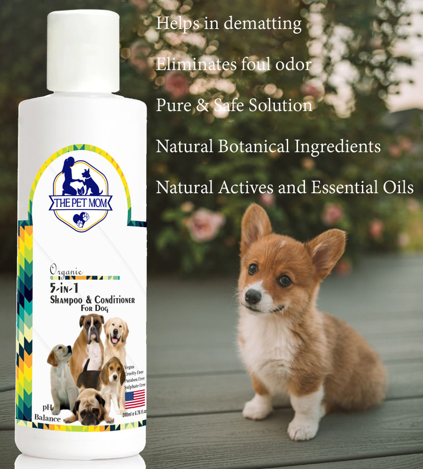 Dematting dog shampoo online