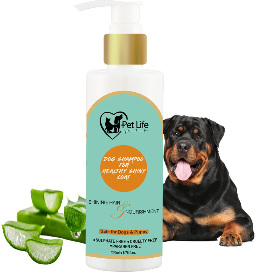 Pet Life Dog Shampoo for Rottweiler Dog Puppy Healthy Shiny Coat Nourishing Hair Conditioning Whitening and Color Enhancing Anti fungal Fresh Fragrance Healthy Coat Shiny Body Wash Natural Actives