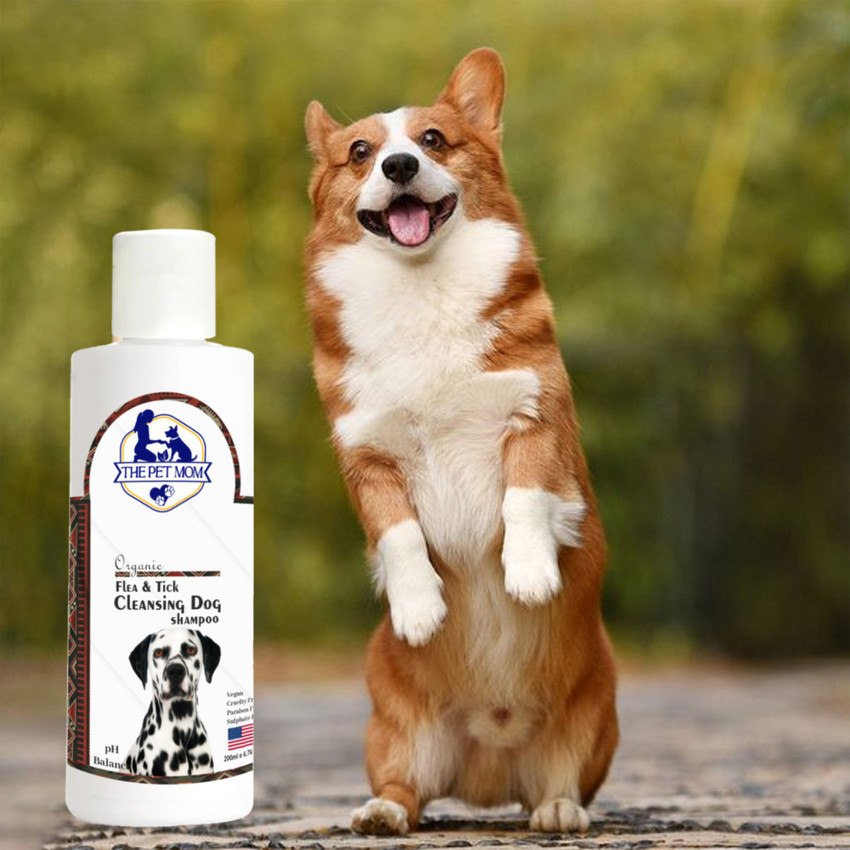 Organic flea discount shampoo
