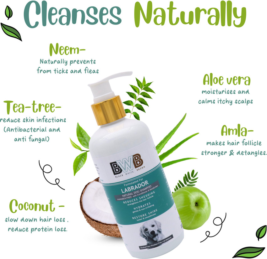 Dermaveen dog shampoo clearance