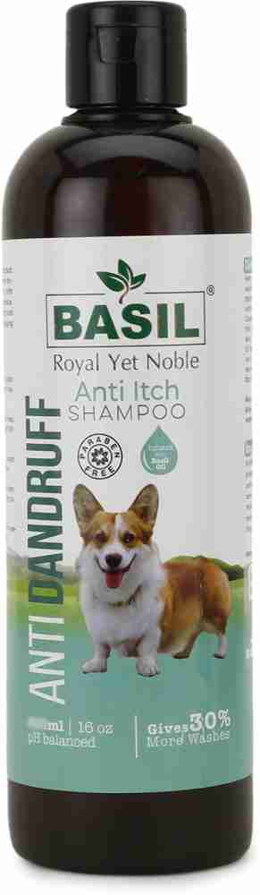 BASIL Anti dandruff Anti fungal Anti itching Allergy Relief