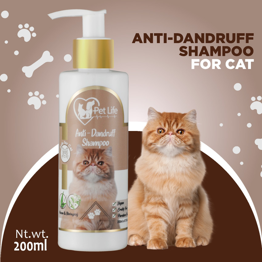 Anti dandruff shampoo for cats hotsell