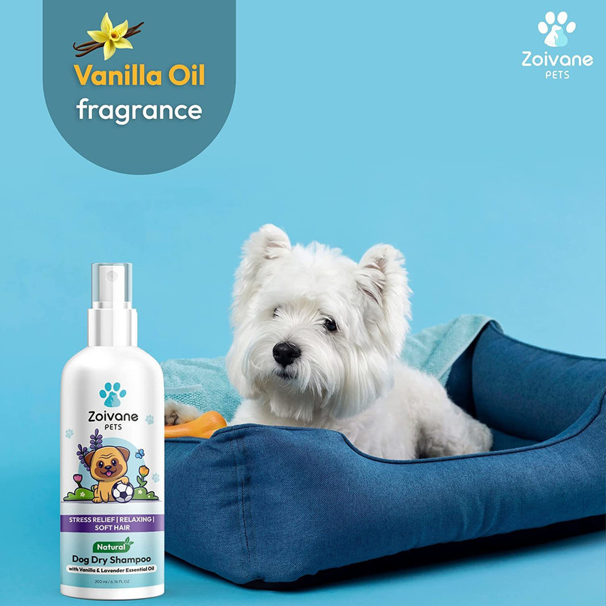 Dry sales shampoo dogs