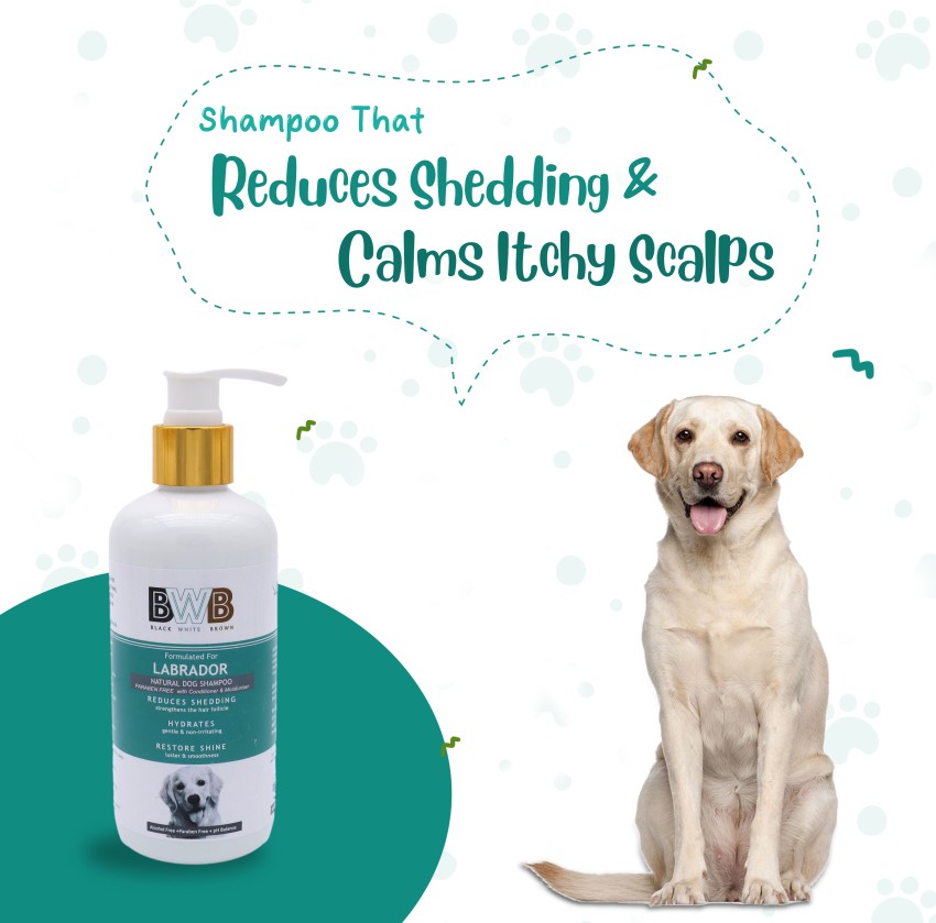 Labrador dog shampoo hotsell