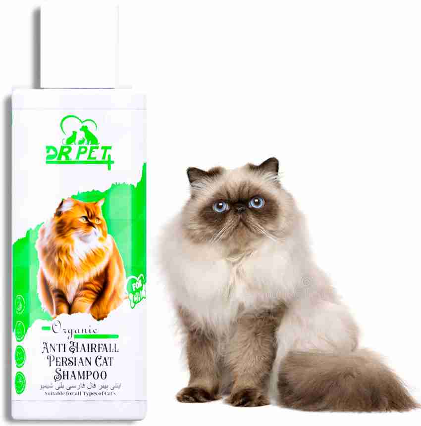 DR PET PLUS Anti Hairfall Persian Cat Shampoo Help In Reduces Hair Fall Strengthening Coat Conditioning Fresh Fragrance Hair Deshedding Cleanser For All Cat Breed Cat Shampoo Price in India Buy