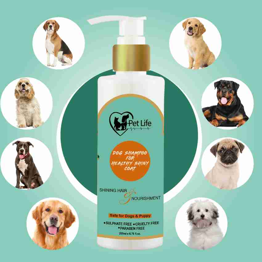 Dog shampoo flipkart new arrivals