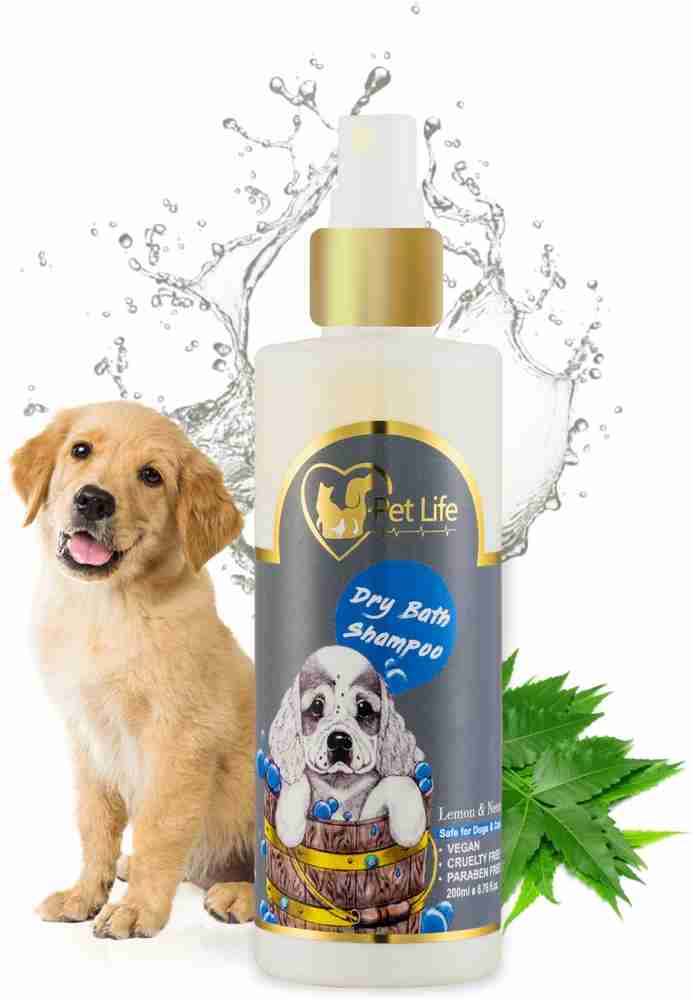 Best dog shampoo for labs top