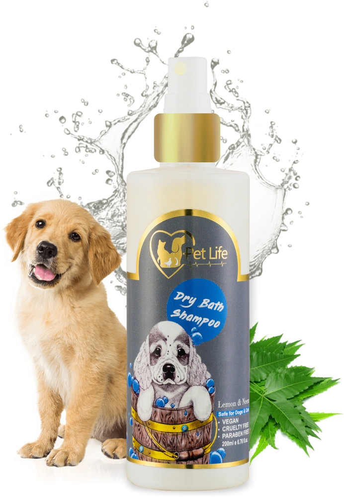Best shampoo for labradors online