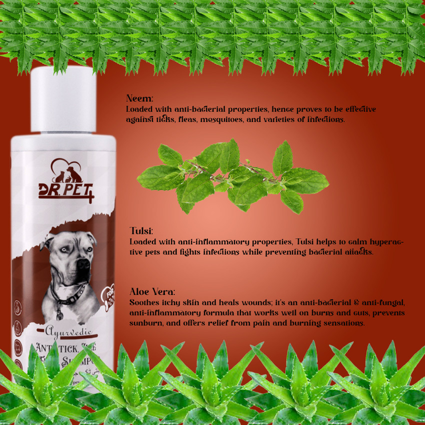 Neem oil for dog wounds shop