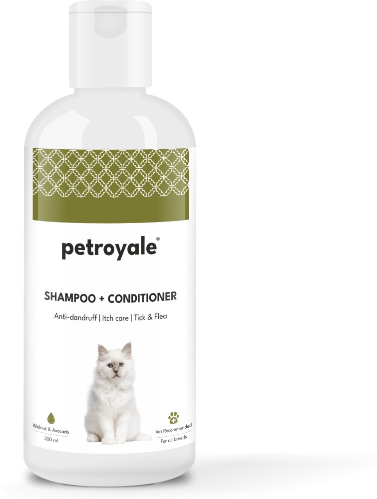 Cat discount dandruff shampoo